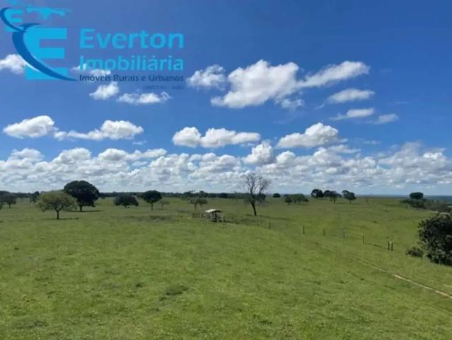 Fazenda venda em Região Geográfica Imediata de Patos de Minas, São Gonçalo do Abaeté