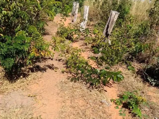 Fazenda venda em São Gonçalo do Gurguéia, Região Nordeste