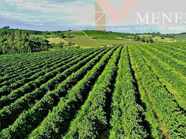Fazenda venda em São Gonçalo do Sapucaí, Região Geográfica Intermediária de Varginha