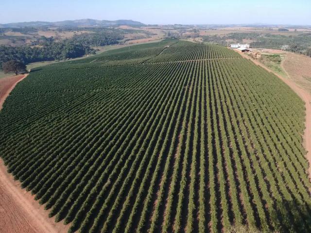 Fazenda venda em Região Geográfica Imediata de Varginha, São Gonçalo do Sapucaí