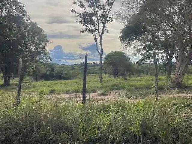 Fazenda venda em Região Geográfica Imediata de Feira de Santana, Região Metropolitana de Feira de Santana