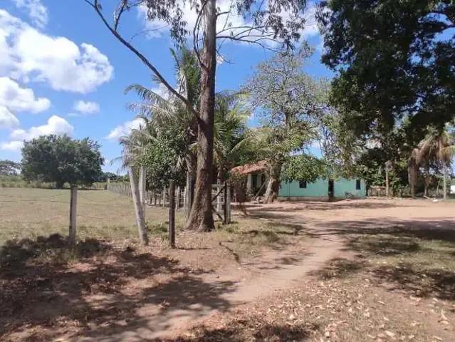 Fazenda venda em Região Geográfica Imediata de Feira de Santana, Região Metropolitana de Feira de Santana