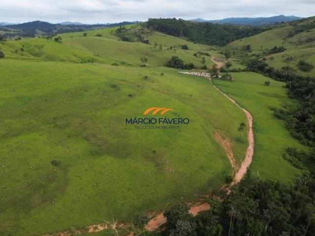 Sítio e chácara venda em São João da Boa Vista