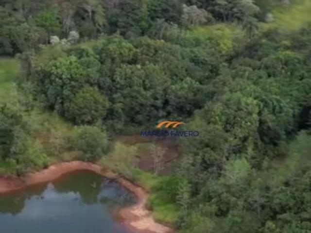 Sítio e chácara venda em Região Imediata de São João da Boa Vista, São João da Boa Vista
