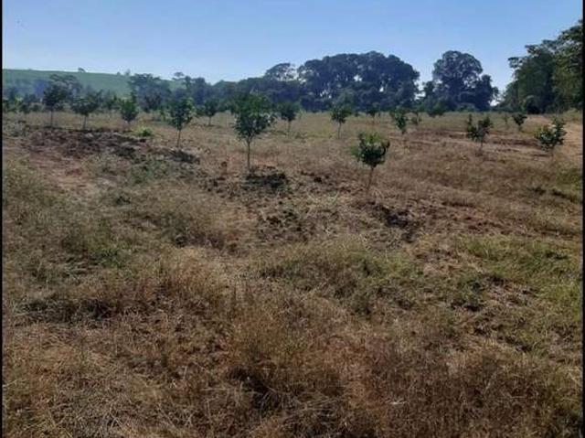 Fazenda venda em Região Imediata de São João da Boa Vista, São João da Boa Vista