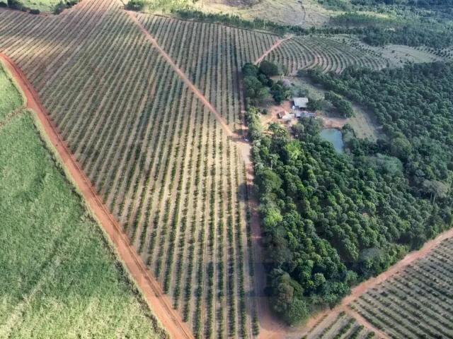 Fazenda venda em Região Imediata de São João da Boa Vista, São João da Boa Vista