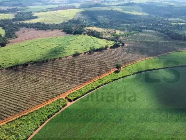 Fazenda venda em Região Imediata de São João da Boa Vista, São João da Boa Vista