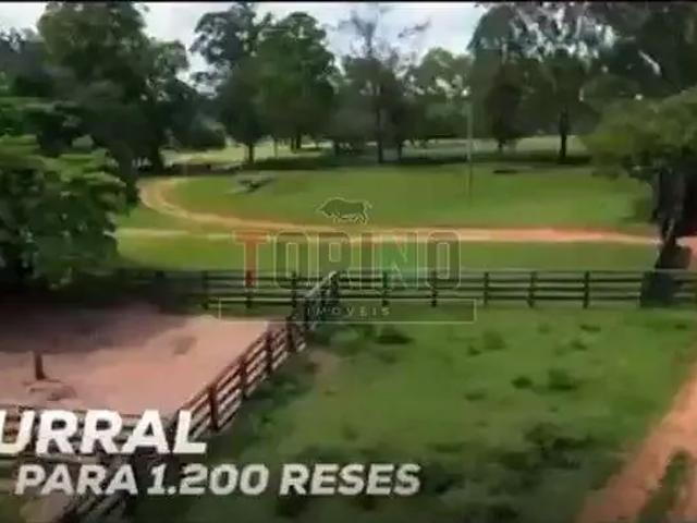 Fazenda venda em Região Geográfica Imediata de Montes Claros, São João da Ponte