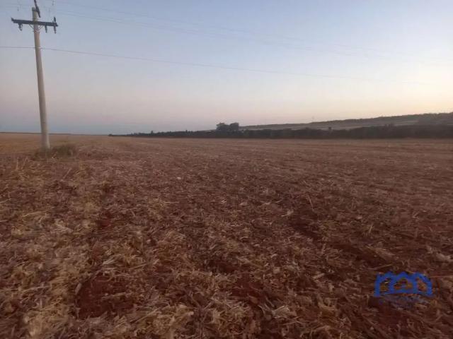 Fazenda venda em Região Geográfica Imediata de Flores de Goiás, São João d'Aliança