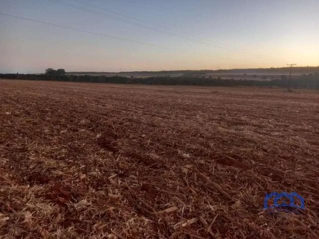 Fazenda venda em Região Geográfica Imediata de Flores de Goiás, São João d'Aliança