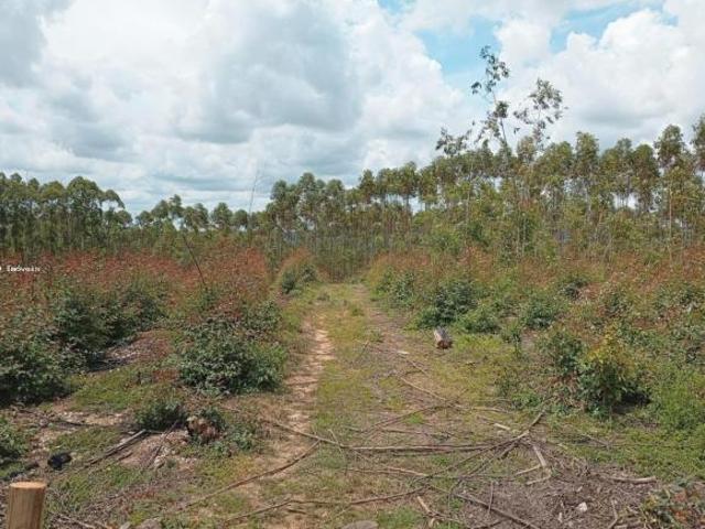 Sítio e chácara venda em Jardim Central, São João del-Rei