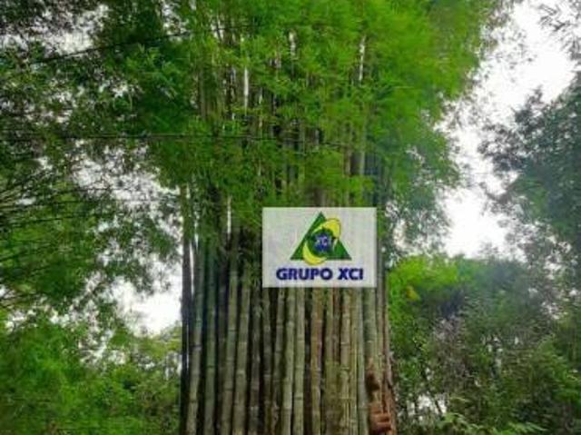 Sítio e chácara venda em Jardim Central, São João del-Rei