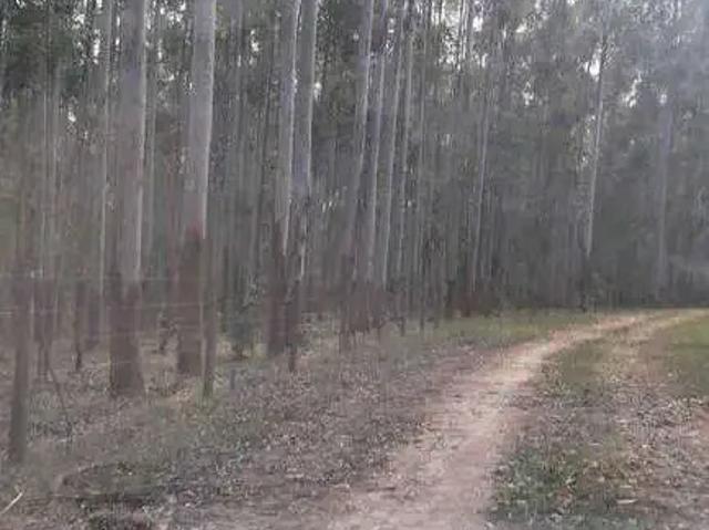 Fazenda venda em Região Geográfica Imediata de Salinas, São João do Paraíso