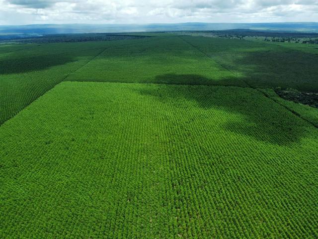 Fazenda venda em São João do Paraíso, Região Geográfica Intermediária de Montes Claros
