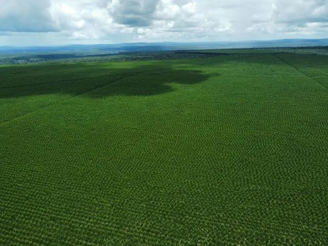Fazenda venda em Região Geográfica Imediata de Salinas, São João do Paraíso