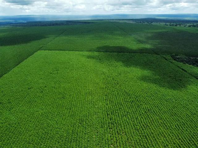 Fazenda venda em Região Geográfica Imediata de Salinas, São João do Paraíso