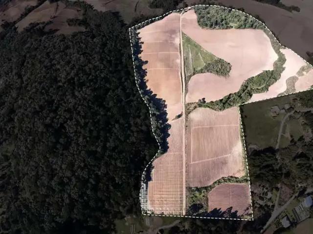 Fazenda venda em Região Geográfica Imediata de Ponta Grossa, São João do Triunfo