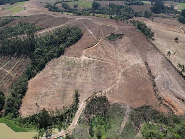 Fazenda venda em São João do Triunfo, Região Geográfica Intermediária de Ponta Grossa
