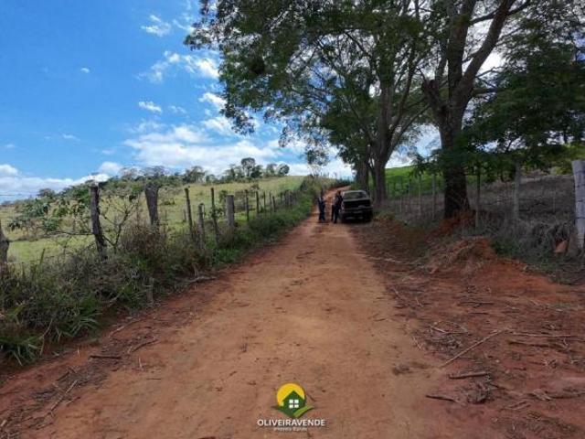 Sítio e chácara venda em Região Geográfica Imediata de São João Nepomuceno - Bicas, São João Nepomuceno
