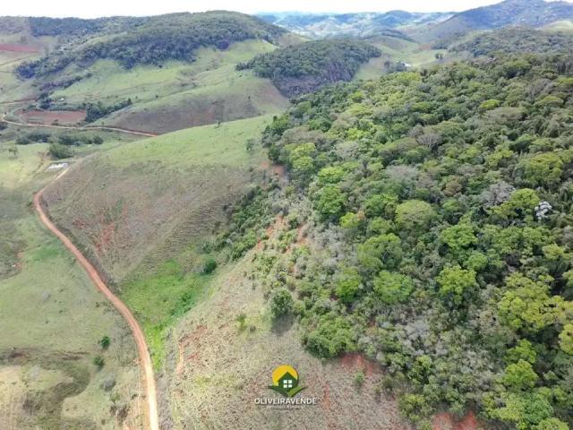 Fazenda venda em Região Geográfica Imediata de São João Nepomuceno - Bicas, São João Nepomuceno