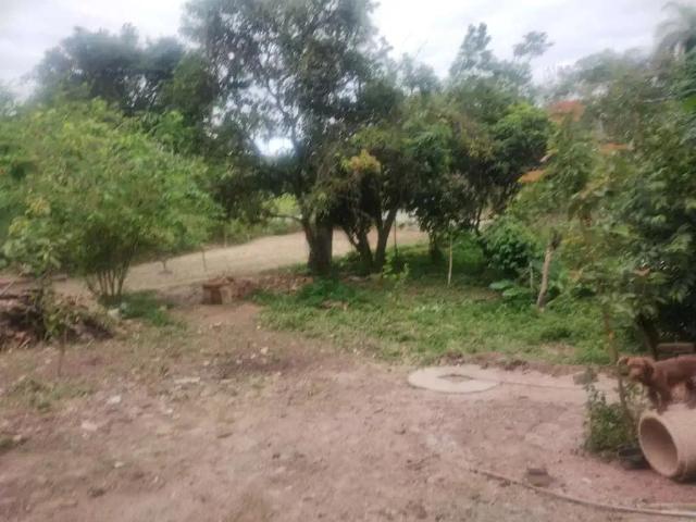 Fazenda venda em Região Geográfica Imediata de Belo Horizonte, Região Metropolitana de Belo Horizonte