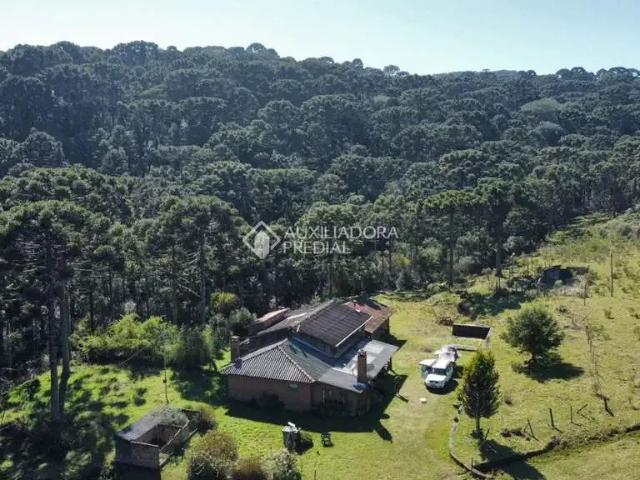 Fazenda venda em Região Geográfica Imediata de Lages, São Joaquim
