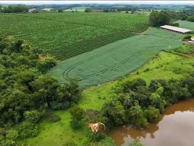 Fazenda venda em Região Geográfica Imediata de Passos, São José da Barra