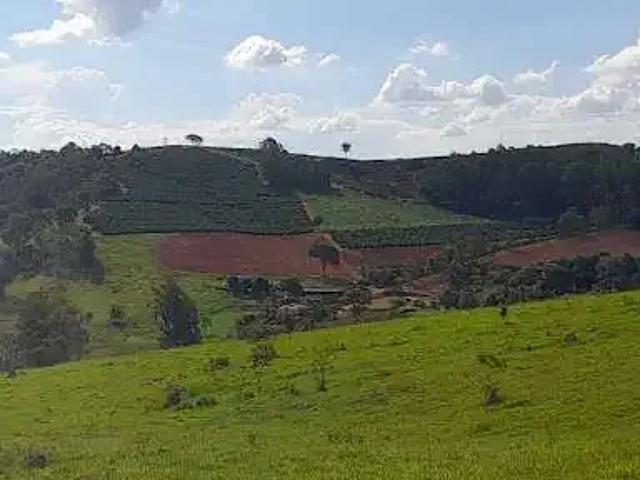 Fazenda venda em São José da Barra, Região Geográfica Intermediária de Varginha