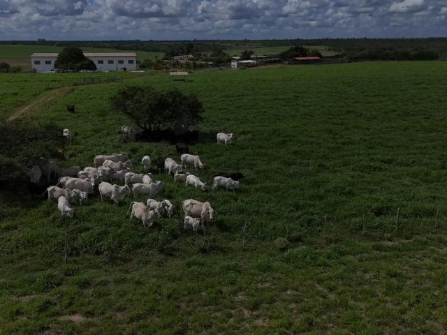 Fazenda venda em Região Geográfica Imediata de Natal, São José de Mipibu