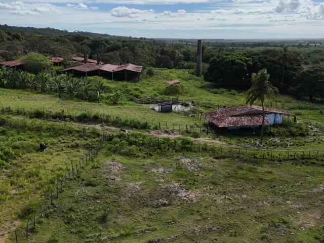 Fazenda venda em Região Geográfica Imediata de Natal, São José de Mipibu