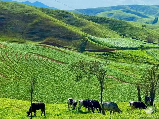 Fazenda venda em Região Imediata de Cruzeiro, Região Metropolitana do Vale do Paraíba e Litoral Norte