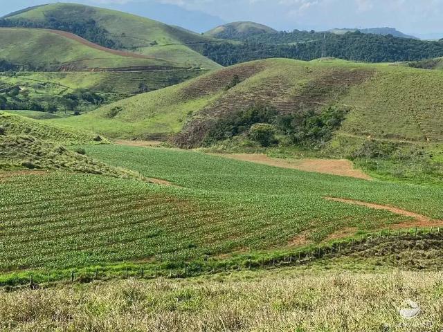 Fazenda venda em Região Imediata de Cruzeiro, Região Metropolitana do Vale do Paraíba e Litoral Norte
