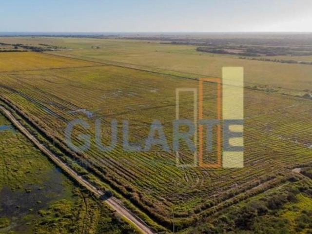 Sítio e chácara venda em Região Geográfica Imediata de Pelotas, Aglomeração Urbana do Sul