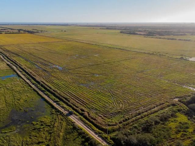 Fazenda venda em Região Geográfica Imediata de Pelotas, Aglomeração Urbana do Sul
