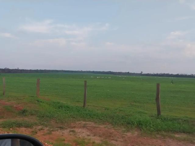 Fazenda venda em Região Geográfica Imediata de Diamantino, São José do Rio Claro