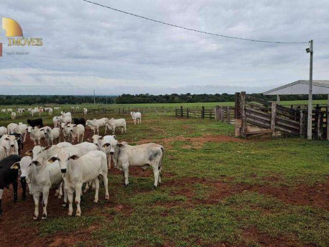 Fazenda venda em Jardim Rio Claro, São José do Rio Claro