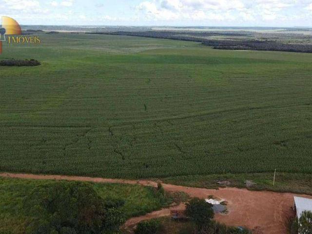 Fazenda venda em Jardim Rio Claro, São José do Rio Claro