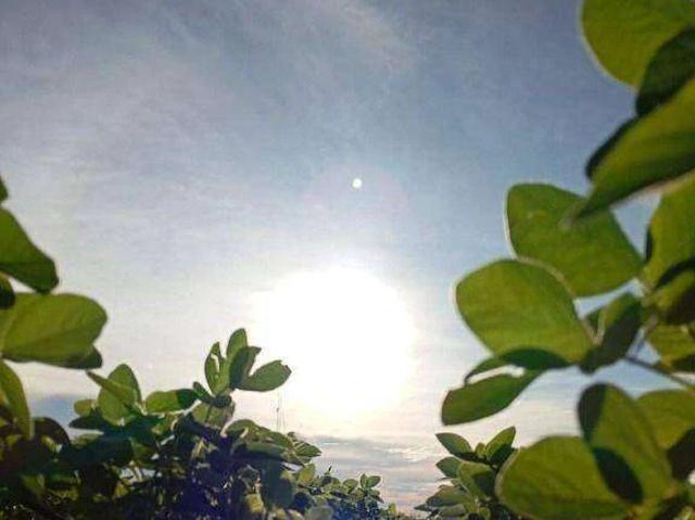 Fazenda venda em Jardim Rio Claro, São José do Rio Claro