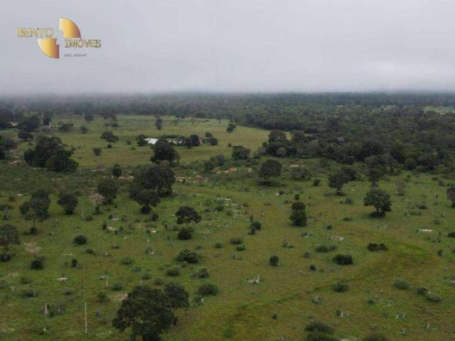 Fazenda venda em Jardim Rio Claro, São José do Rio Claro