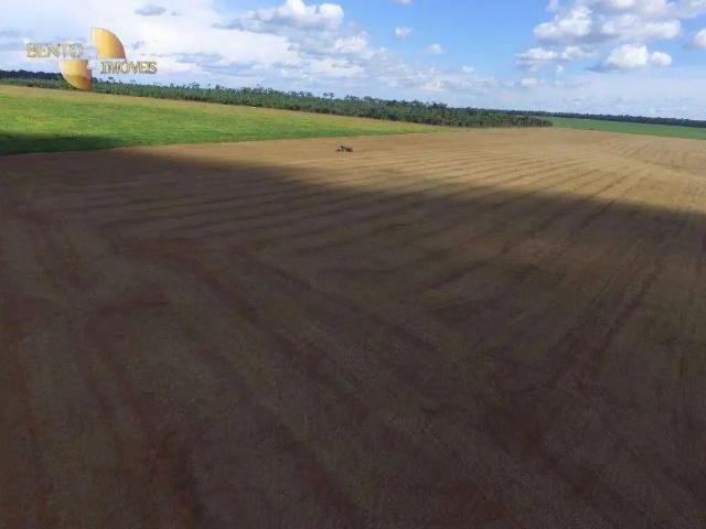 Fazenda venda em Região Geográfica Imediata de Diamantino, São José do Rio Claro