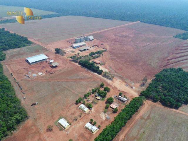 Fazenda venda em Jardim Rio Claro, São José do Rio Claro