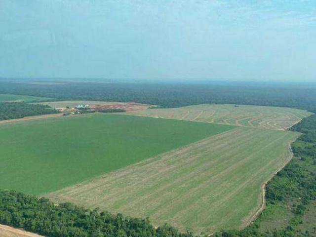 Fazenda venda em Região Geográfica Imediata de Diamantino, São José do Rio Claro