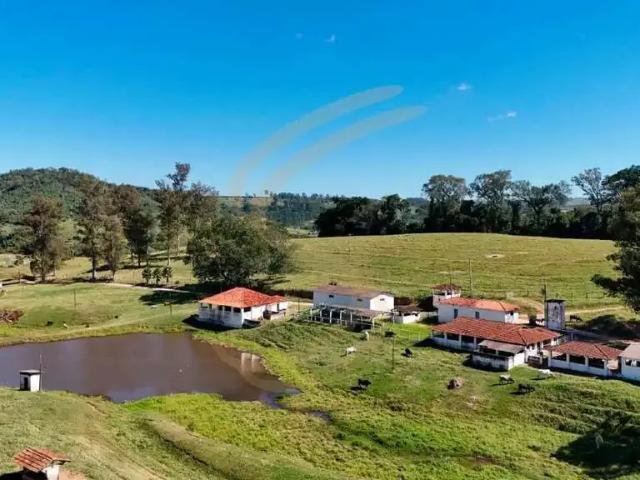 Fazenda venda em Região Imediata de São José do Rio Pardo-Mococa, São José do Rio Pardo