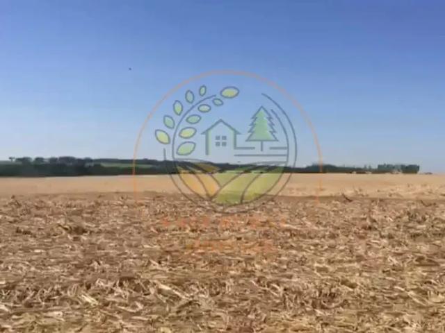 Fazenda venda em Região Imediata de São José do Rio Preto, Região Metropolitana de São José do Rio Preto
