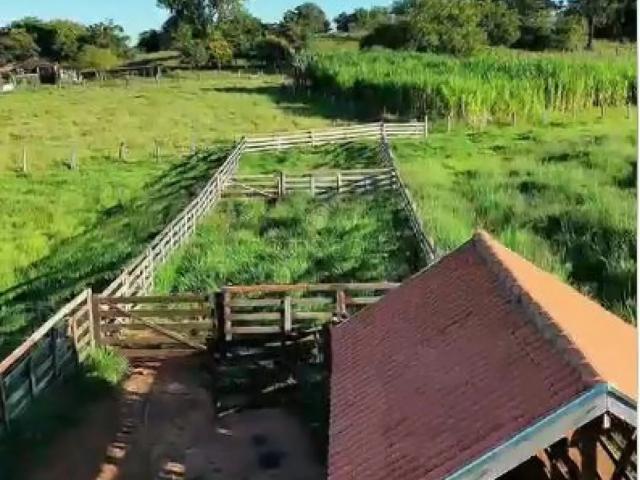 Fazenda venda em São José do Rio Preto, Região Geográfica Intermediária de São José do Rio Preto