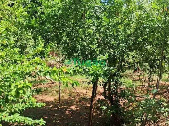 Fazenda venda em Região Imediata de São José do Rio Preto, Região Metropolitana de São José do Rio Preto