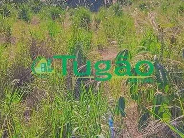 Fazenda venda em Região Imediata de São José do Rio Preto, Região Metropolitana de São José do Rio Preto