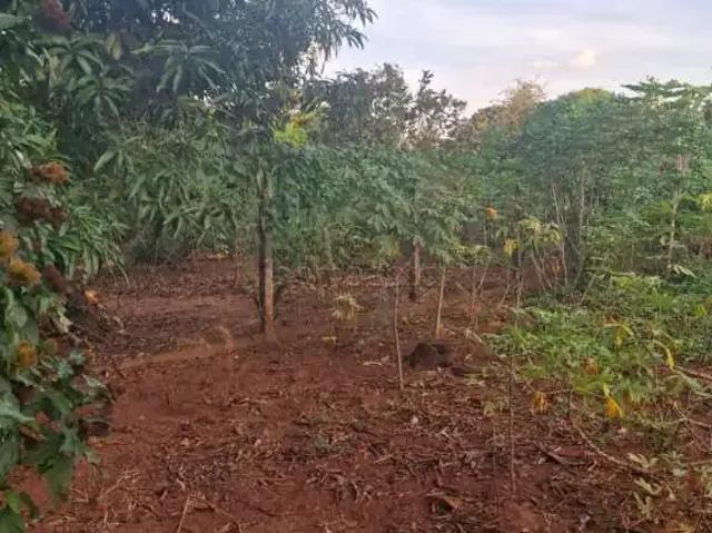 Fazenda venda em Região Imediata de São José do Rio Preto, Região Metropolitana de São José do Rio Preto