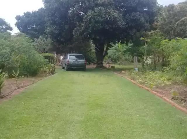 Fazenda venda em Região Imediata de São José do Rio Preto, Região Metropolitana de São José do Rio Preto