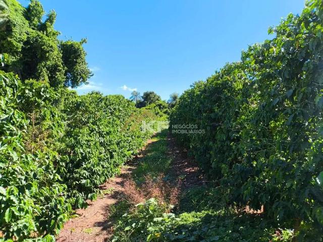Fazenda venda em Região Imediata de São José do Rio Preto, Região Metropolitana de São José do Rio Preto